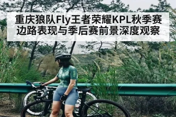 重庆狼队Fly王者荣耀KPL秋季赛边路表现与季后赛前景深度观察
